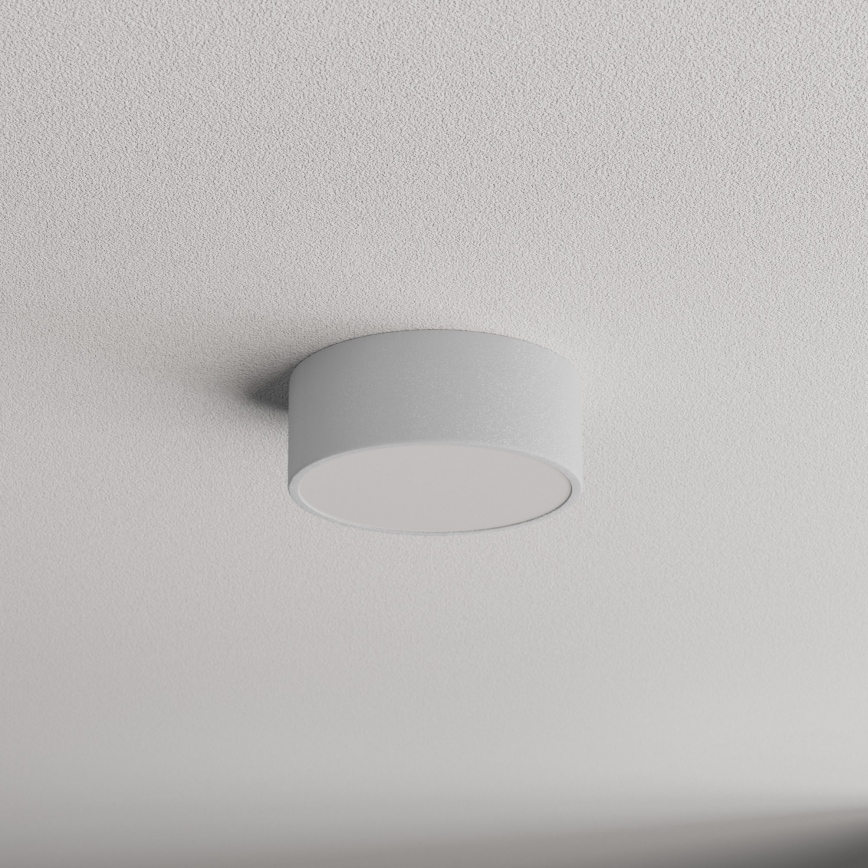 Koupelnové stropní svítidlo CLEO 1xE27/24W/230V pr. 20 cm šedá IP54