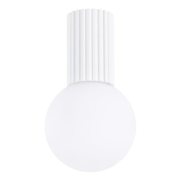 Koupelnové stropní svítidlo HALO 1xG9/8W/230V pr. 12 cm IP44 bílá