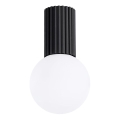 Koupelnové stropní svítidlo HALO 1xG9/8W/230V pr. 12 cm IP44 černá