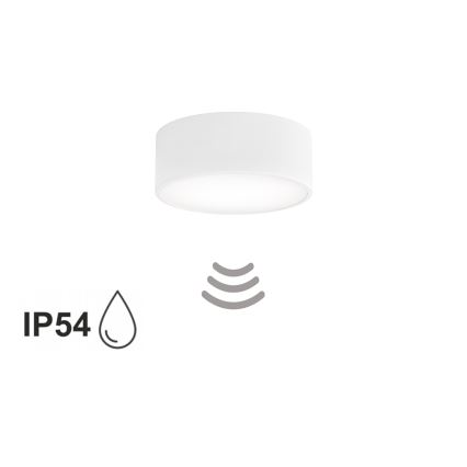 Koupelnové stropní svítidlo se senzorem CLEO 1xE27/24W/230V pr. 20 cm IP54 bílá