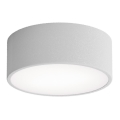 Koupelnové stropní svítidlo se senzorem CLEO 1xE27/24W/230V pr. 20 cm IP54 šedá