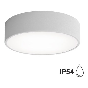 Koupelnové stropní svítidlo se senzorem CLEO 2xE27/24W/230V pr. 30 cm šedá IP54