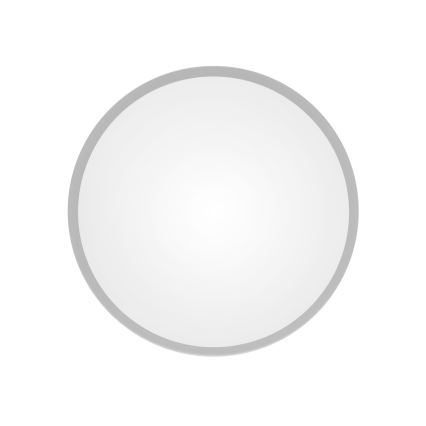 Koupelnové stropní svítidlo se senzorem CLEO 2xE27/24W/230V pr. 30 cm šedá IP54
