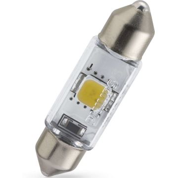 LED Autožárovka Philips X-TREME ULTINON 128584000KX1 LED SV8.5-8/0,8W/12V 4000K