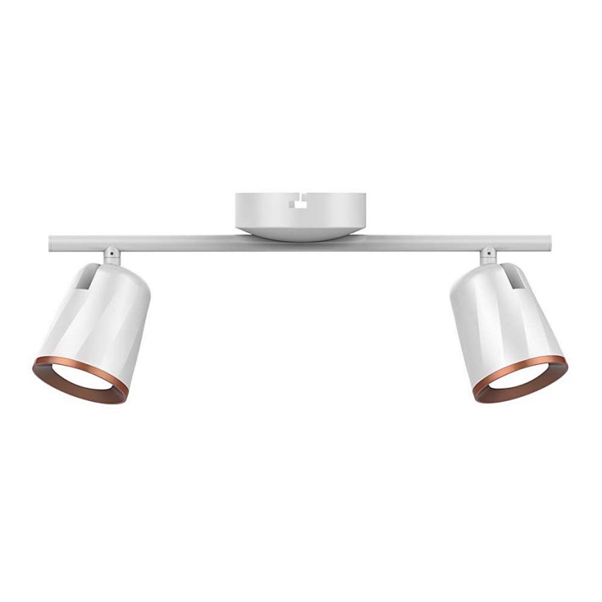 LED Bodové svítidlo 2xLED/5W/230V 4000K bílá