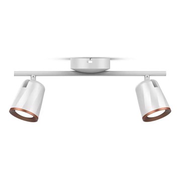 LED Bodové svítidlo 2xLED/6W/230V