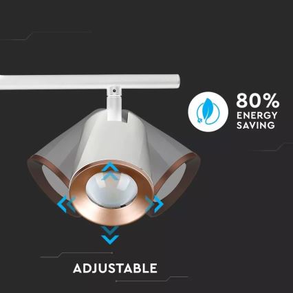 LED Bodové svítidlo 2xLED/6W/230V