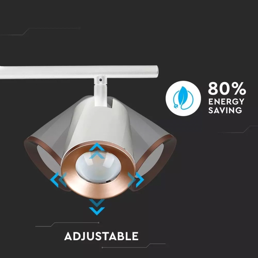 LED Bodové svítidlo 2xLED/6W/230V