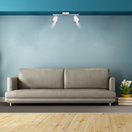 LED Bodové svítidlo 2xLED/6W/230V