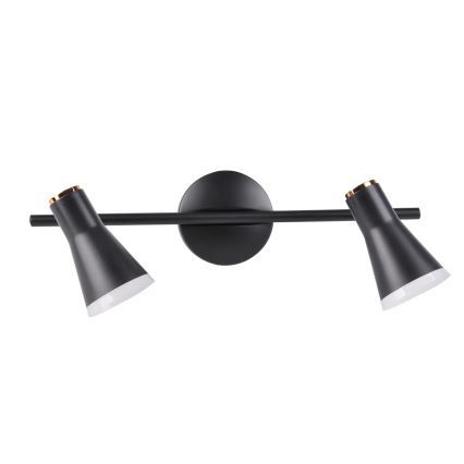 LED Bodové svítidlo BERG 2xLED/4,2W/230V černá