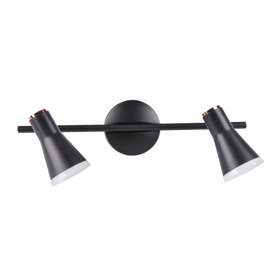 LED Bodové svítidlo BERG 2xLED/4,2W/230V černá