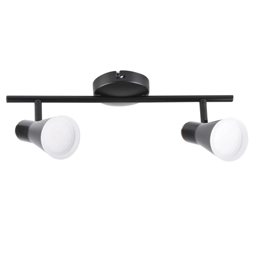 LED Bodové svítidlo BERG 2xLED/4,2W/230V černá