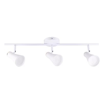 LED Bodové svítidlo BERG 3xLED/4,2W/230V bílá