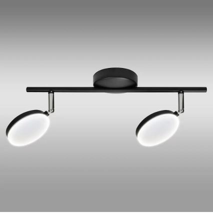 LED Bodové svítidlo CAPRI 2xLED/5W/230V