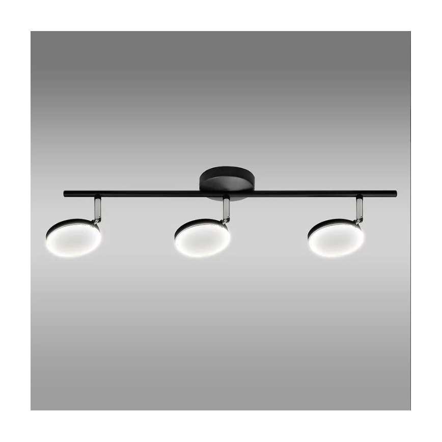 LED Bodové svítidlo CAPRI 3xLED/5W/230V