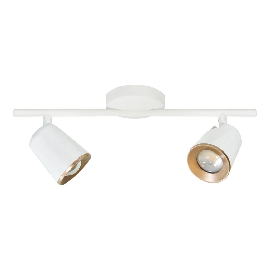 LED Bodové svítidlo FICUDI 2xLED/6W/230V