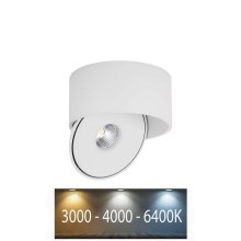 LED Bodové svítidlo LED/20W/230V 3000/4000/6400K CRI 90 bílá