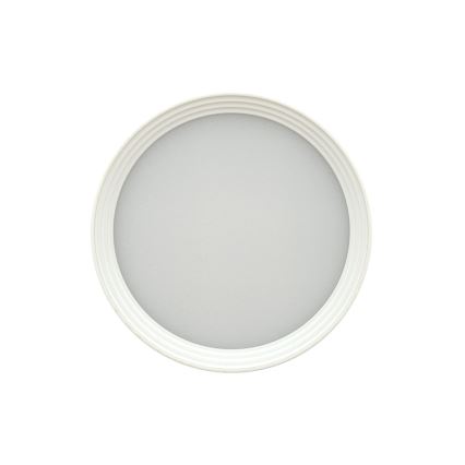 LED Bodové svítidlo LED/5W/230V 3000/4000/6400K pr. 7,5 cm bílá