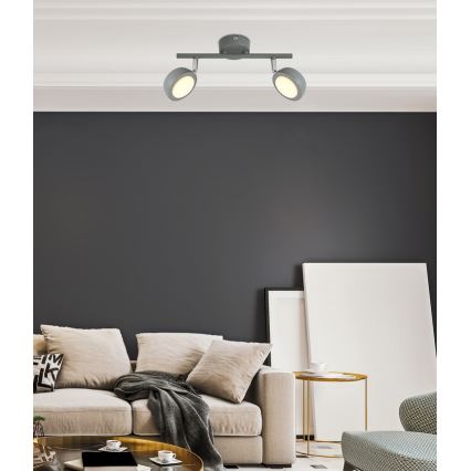 LED Bodové svítidlo MILD 2xLED/6W/230V šedá