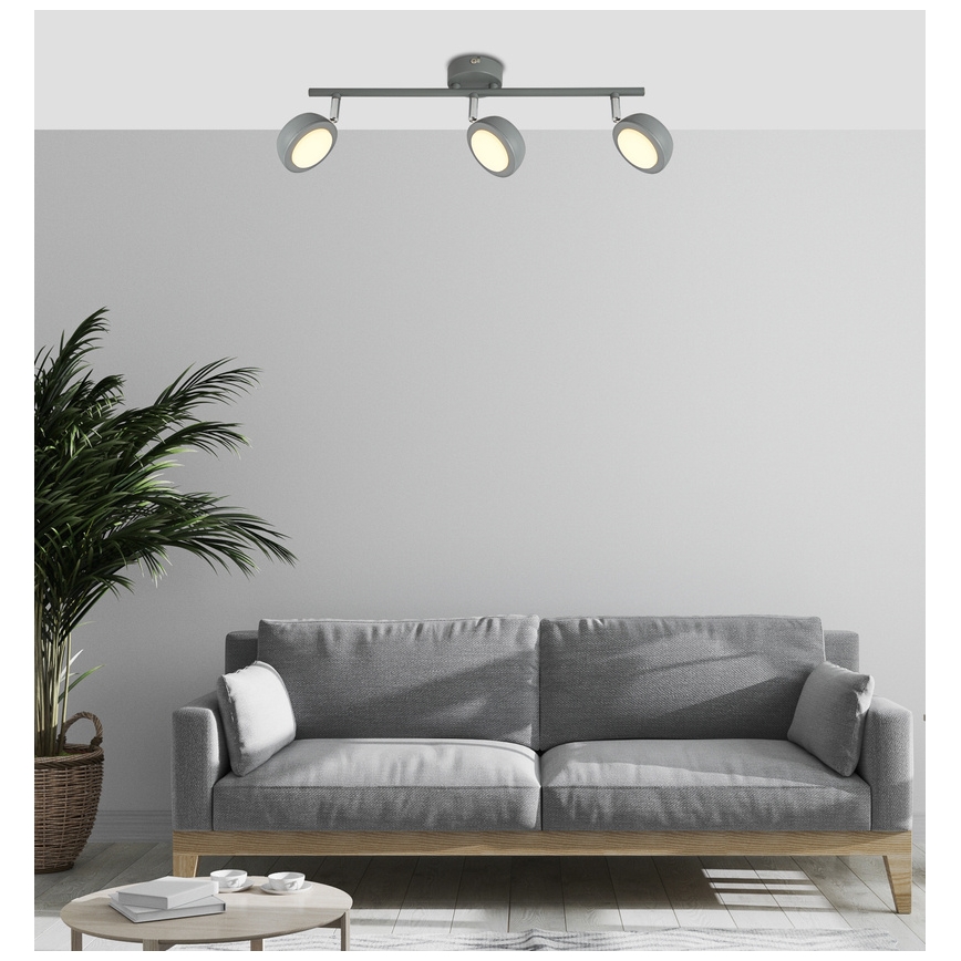 LED Bodové svítidlo MILD 3xLED/6W/230V šedá