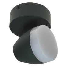 LED Bodové svítidlo SURMUR LED/6W/230V zelená