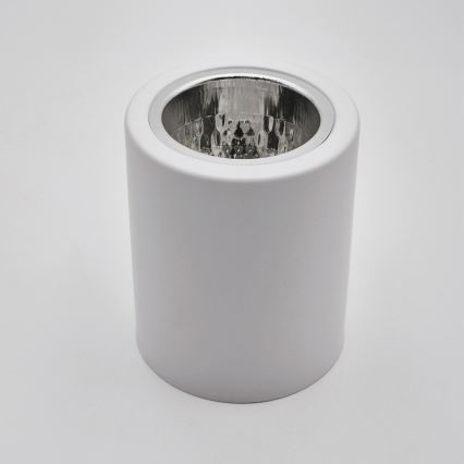 LED Bodové svítidlo TACO 1xE27/15W/230V bílá