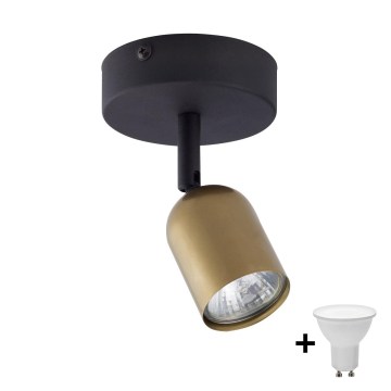 LED Bodové svítidlo TOP 1xGU10/10W/230V zlatá/černá