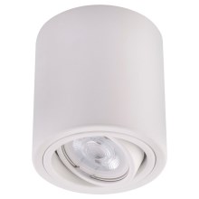 LED Bodové svítidlo TUBA 1xGU10/5W/230V 4000K bílá