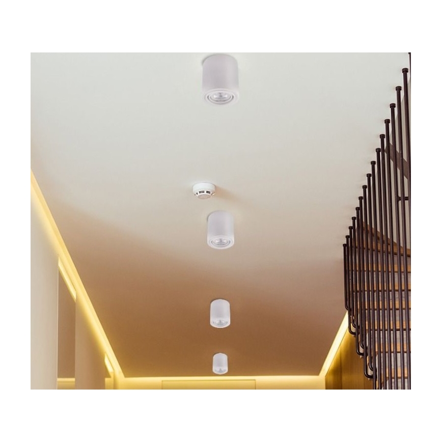 LED Bodové svítidlo TUBA 1xGU10/5W/230V 4000K bílá