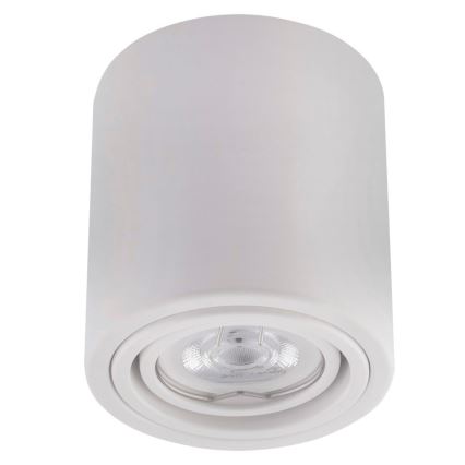 LED Bodové svítidlo TUBA 1xGU10/5W/230V 4000K bílá