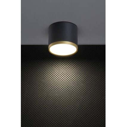 LED Bodové svítidlo TUBA LED/9W/230V černá/zlatá