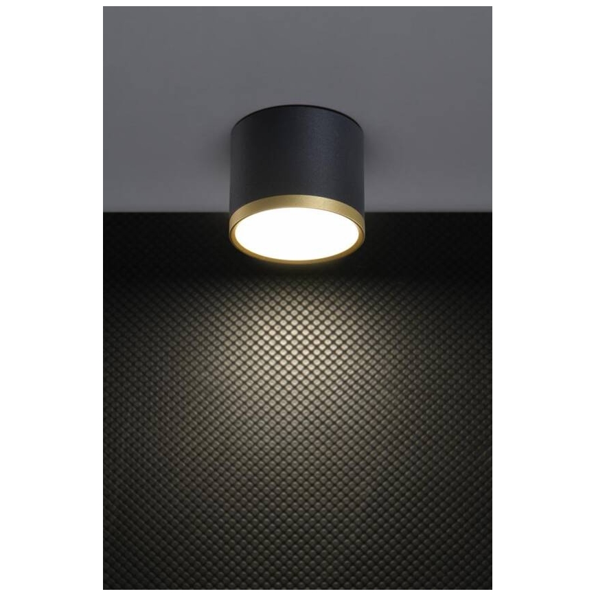 LED Bodové svítidlo TUBA LED/9W/230V černá/zlatá