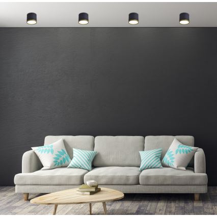 LED Bodové svítidlo TUBA LED/9W/230V černá/zlatá