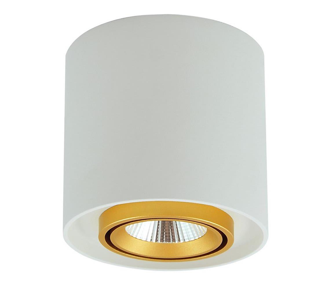 Polux LED Bodové svítidlo XENO LED/10W/230V bílá 800lm SA1167