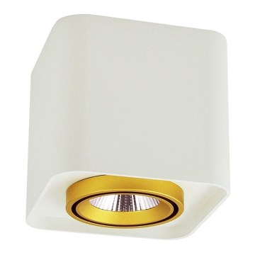 LED Bodové svítidlo XENO LED/10W/230V bílá 800lm
