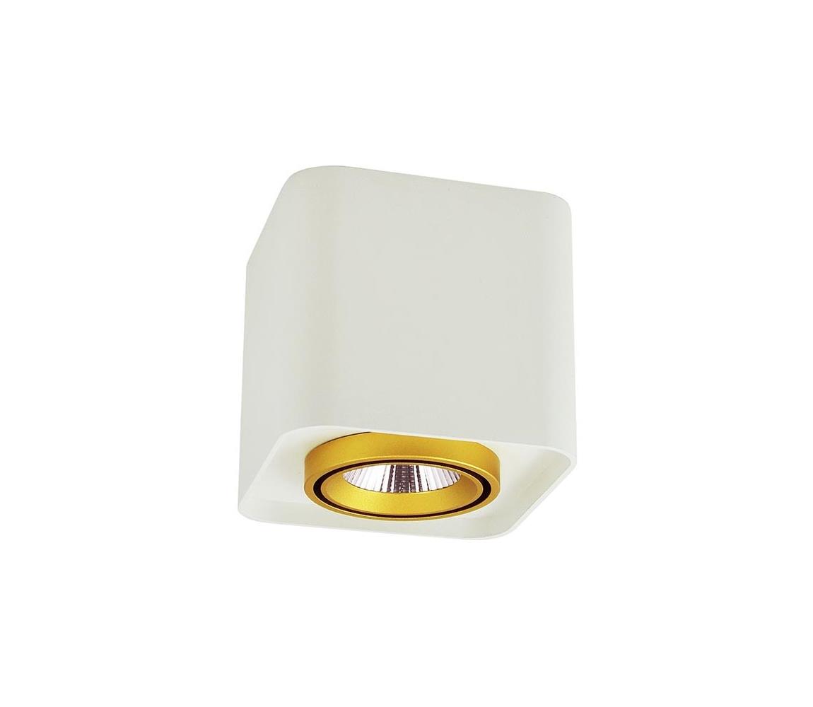 Polux LED Bodové svítidlo XENO LED/10W/230V bílá 800lm SA1171