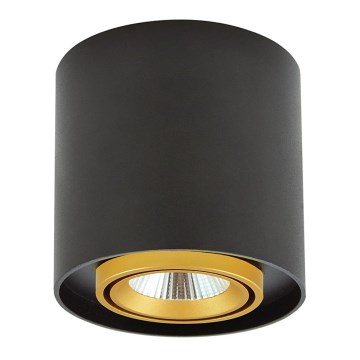 LED Bodové svítidlo XENO LED/15W/230V černá 1200lm