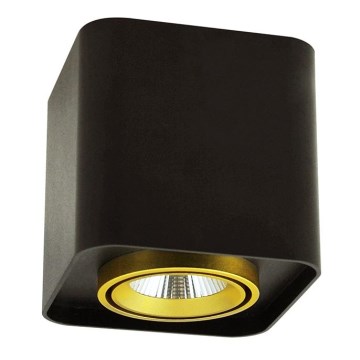 LED Bodové svítidlo XENO LED/15W/230V černá 1200lm