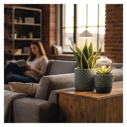 LED Interiérová lampa pro pěstování rostlin GROW LED/5W/5V