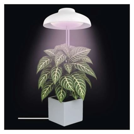 LED Interiérová lampa pro pěstování rostlin GROW LED/5W/5V