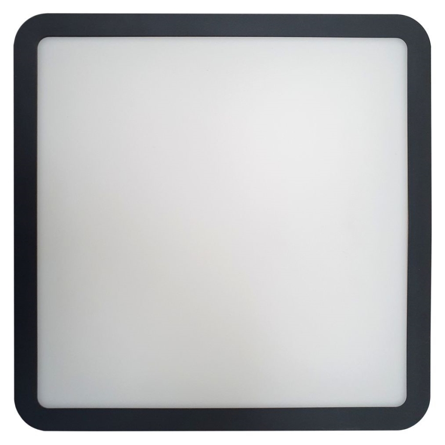 LED Koupelnové stropní svítidlo ELLÉ LED/24W/230V 3000/4000/6500K 26x26 cm IP54 antracit