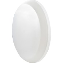 LED Koupelnové nástěnné svítidlo LED/24W/230V IP54 bílá
