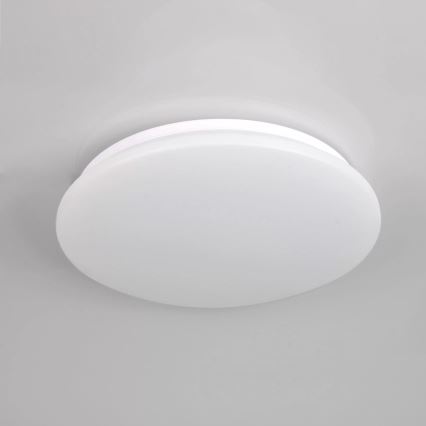 LED Koupelnové stropní svítidlo ADAR LED/12W/230V IP44 4000K