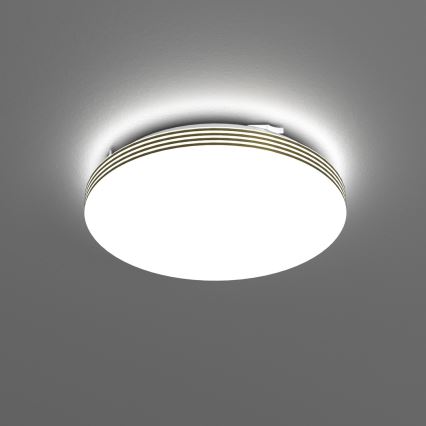 LED Koupelnové stropní svítidlo BEVER LED/10W/230V 4000K pr. 26 cm IP44