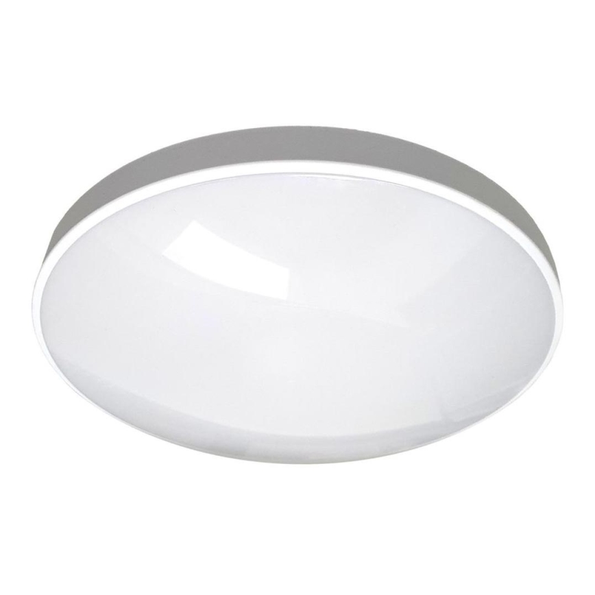 LED Koupelnové stropní svítidlo CIRCLE LED/12W/230V 4000K pr. 25 cm IP44 bílá