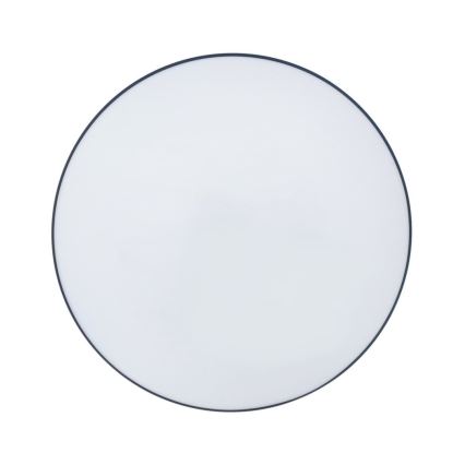 LED Koupelnové stropní svítidlo CIRCLE LED/18W/230V 4000K pr. 30 cm IP44 černá