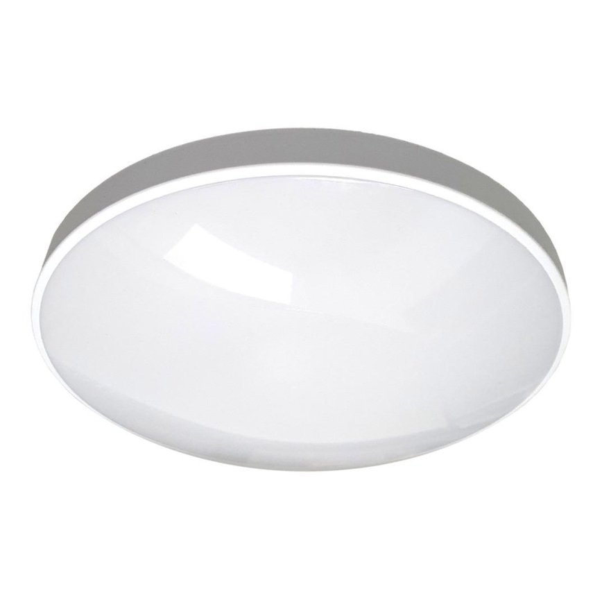 LED Koupelnové stropní svítidlo CIRCLE LED/36W/230V 4000K pr. 45 cm IP44 bílá