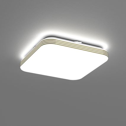 LED Koupelnové stropní svítidlo DABAR LED/11W/230V 4000K 26x26 cm IP44