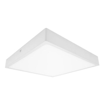 LED Koupelnové stropní svítidlo EGON LED/16W/230V IP44 3000K