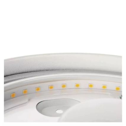 LED Koupelnové stropní svítidlo LED/12W/230V IP44